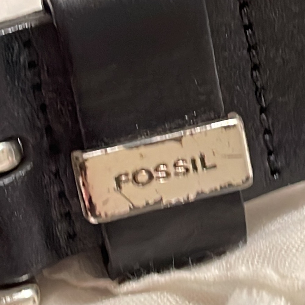 Fossil Belt